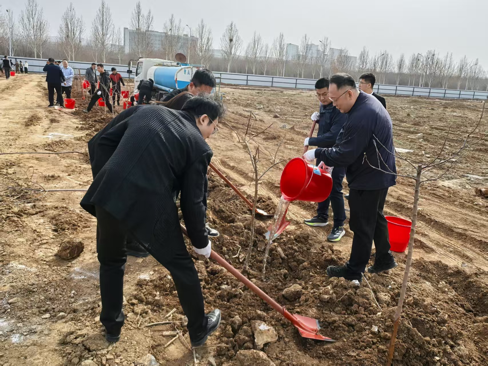 1741857374077.jpg 3.jpg